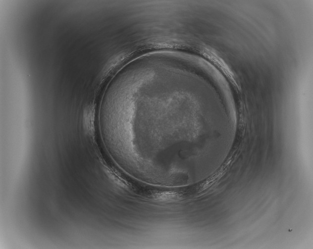 X0000113340058200909221132