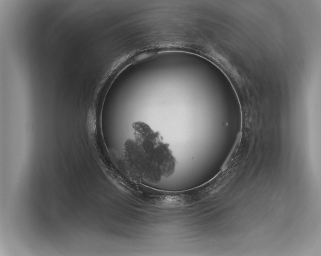 X0000113340060200909221132