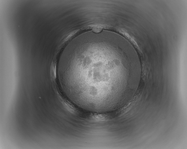 X0000113340062200909221132