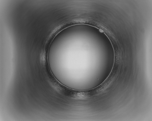 X0000113340064200909221132