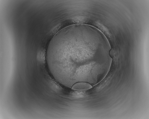 X0000113340065200909221132