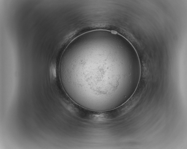 X0000113340068200909221132