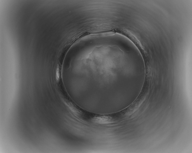 X0000113340069200909221132