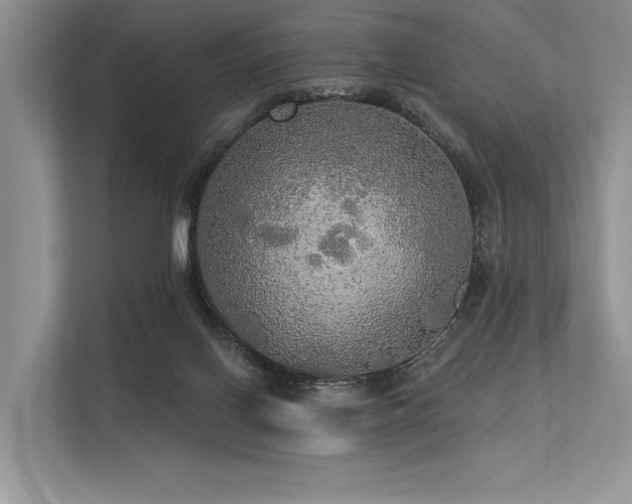 X0000113340070200909221132