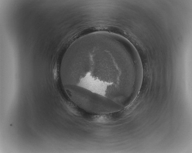 X0000113340074200909221132