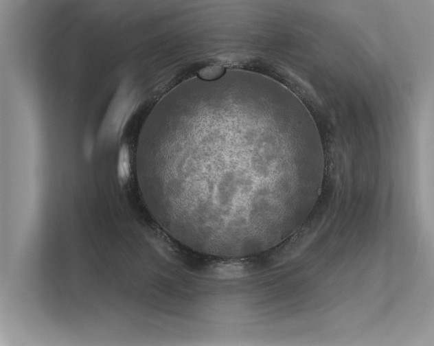 X0000113340075200909221132