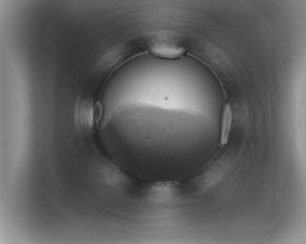 X0000113340076200909221132