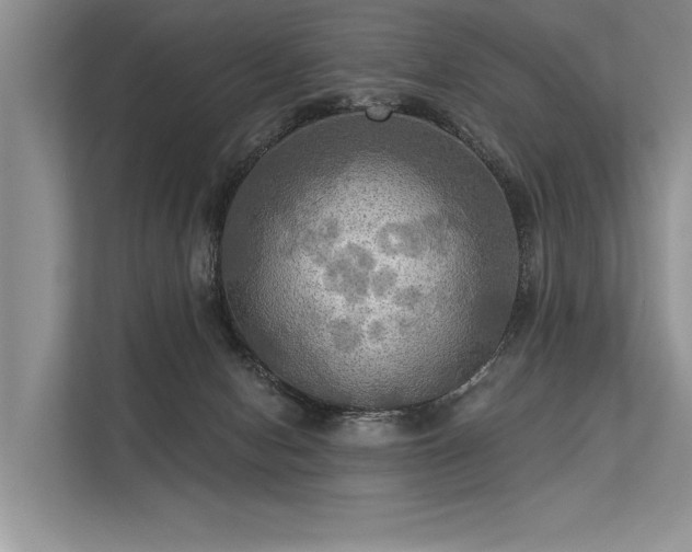 X0000113340078200909221132