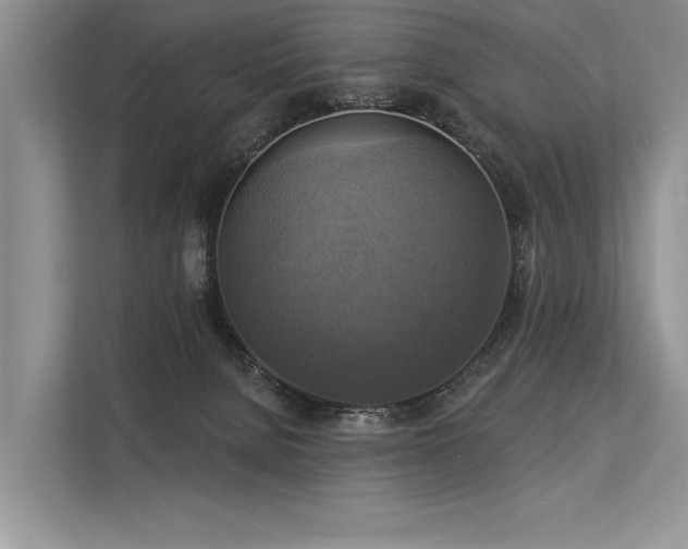 X0000113340080200909221132