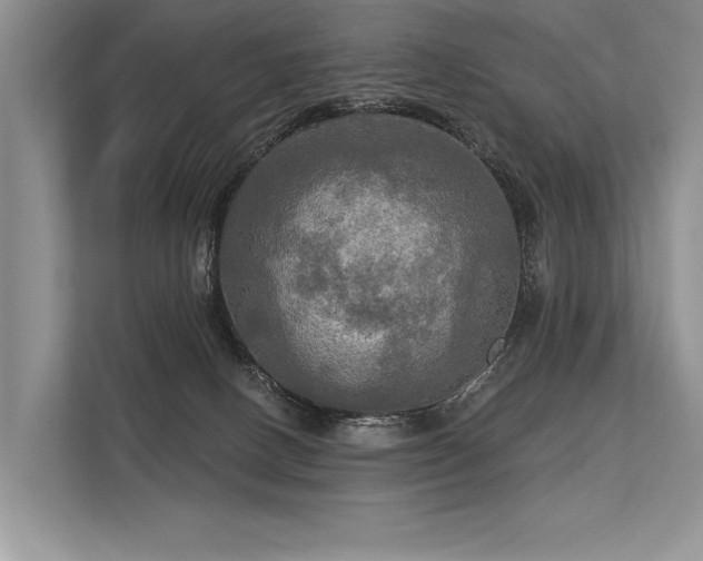 X0000113340082200909221132