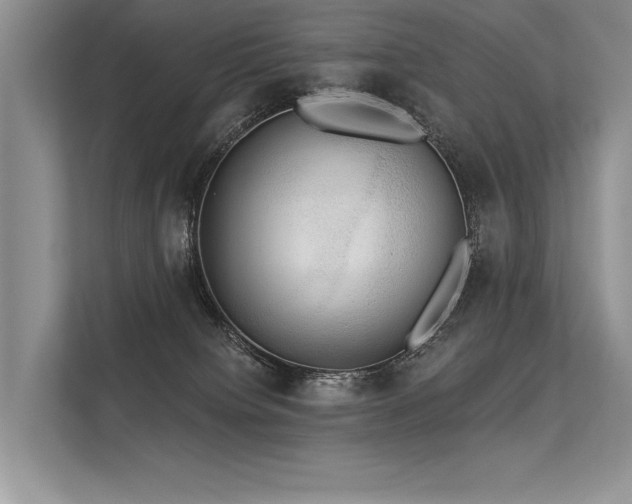 X0000113340084200909221132