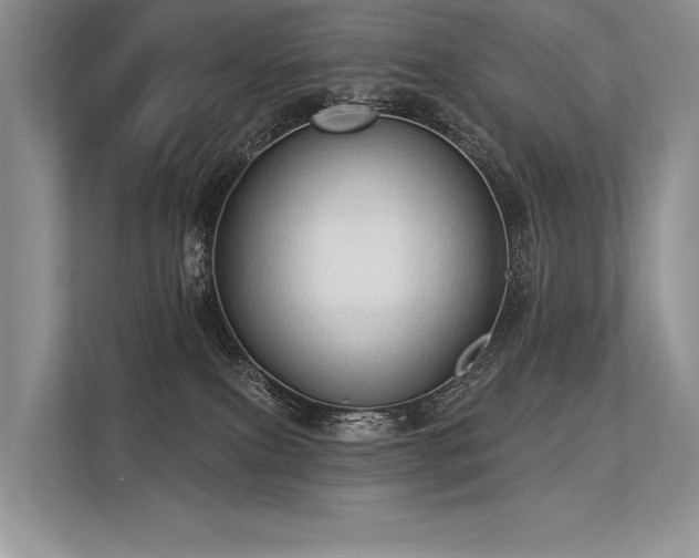 X0000113340087200909221132