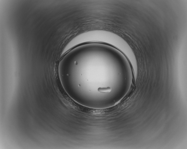 X0000113340088200909221132