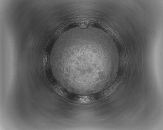 X0000113340091200909221132