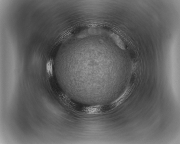 X0000113340094200909221132