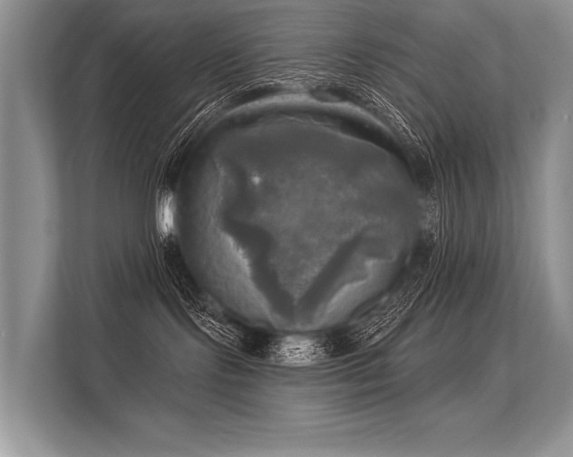 X0000113340095200909221132