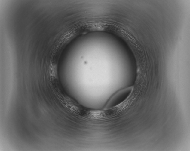 X0000113340096200909221132