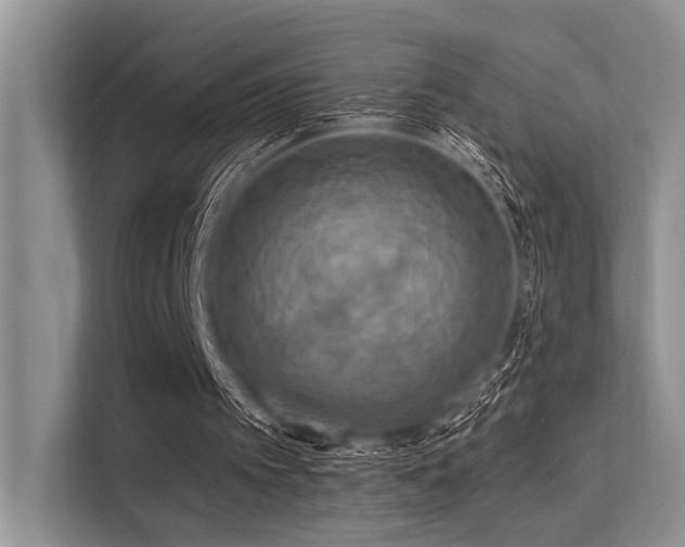 X0000113340097200909221132