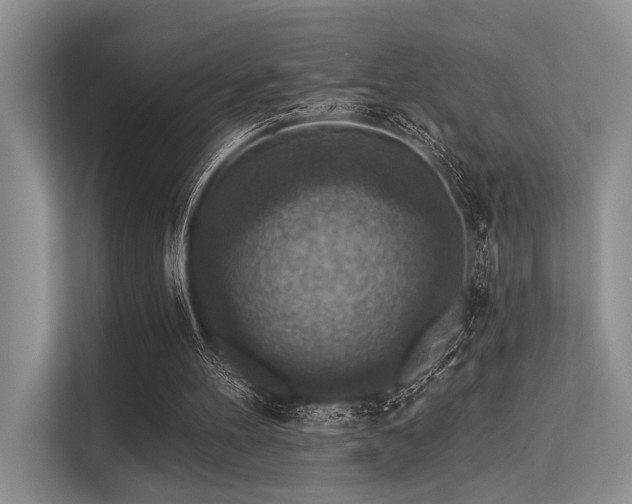 X0000113340100200909221132