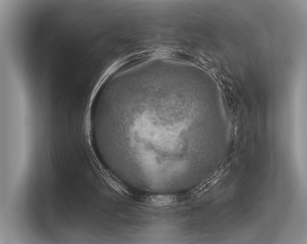 X0000113340102200909221132