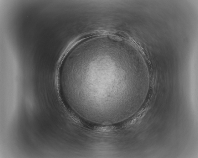 X0000113340103200909221132