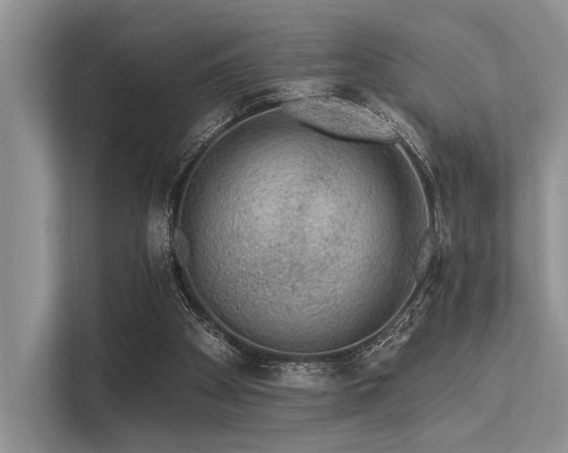 X0000113340105200909221132