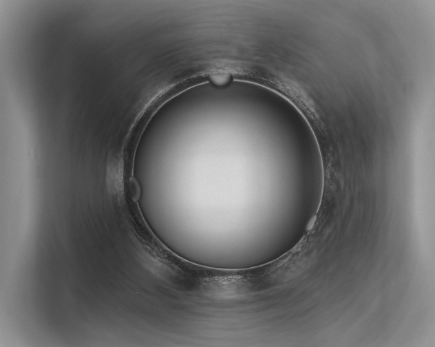 X0000113340108200909221131