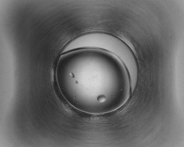 X0000113340109200909221131