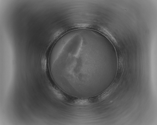 X0000113340110200909221131