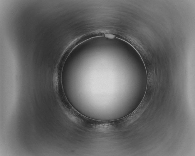 X0000113340112200909221131