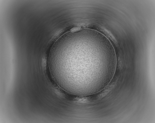 X0000113340113200909221131