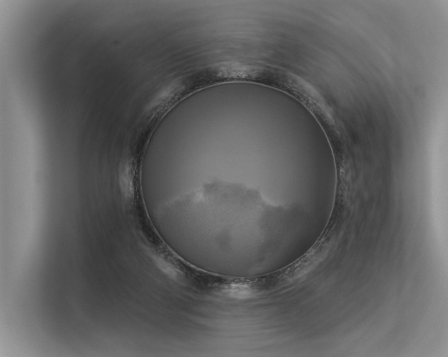 X0000113340114200909221131