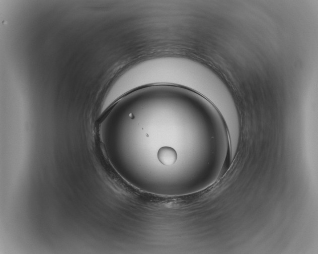 X0000113340116200909221131