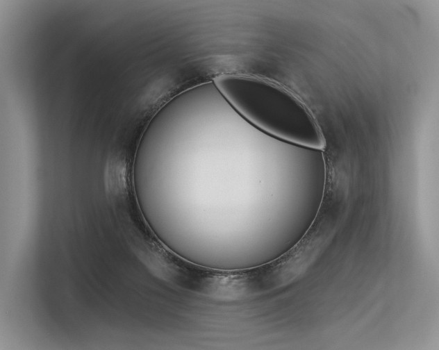 X0000113340117200909221131