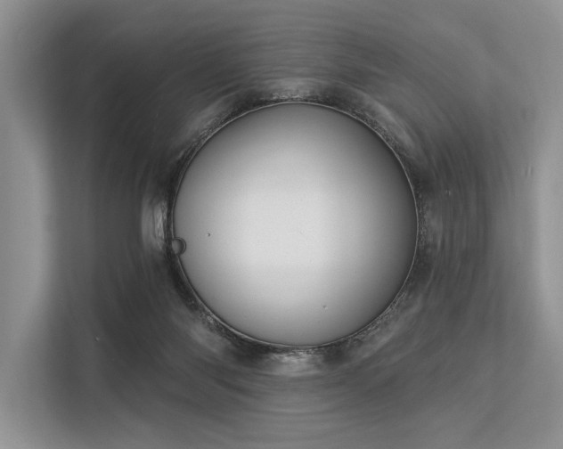 X0000113340118200909221131