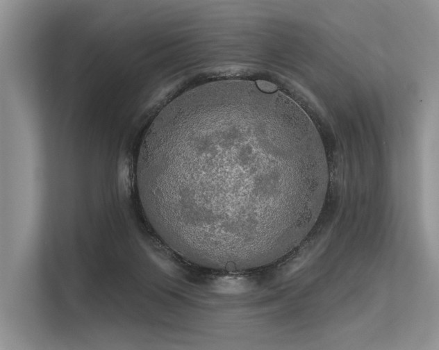 X0000113340119200909221131