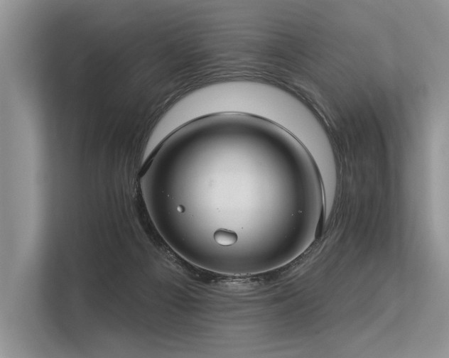 X0000113340121200909221131