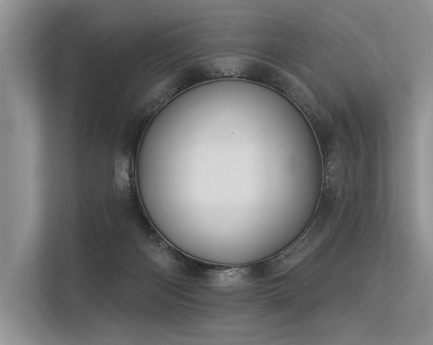 X0000113340122200909221131