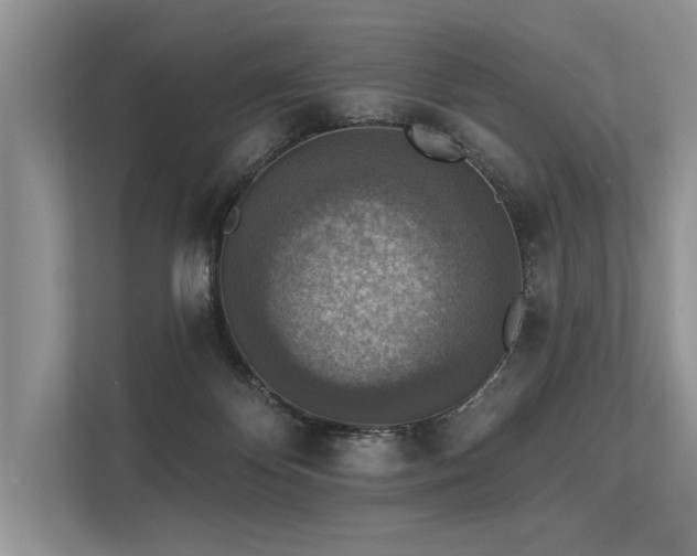 X0000113340124200909221131