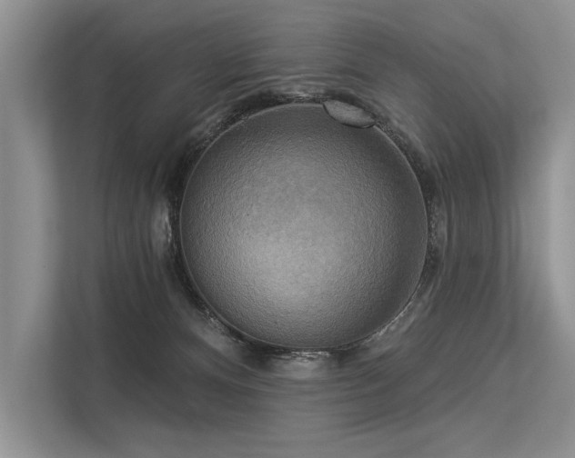 X0000113340128200909221131