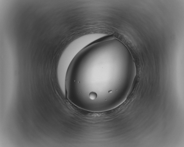 X0000113340129200909221131