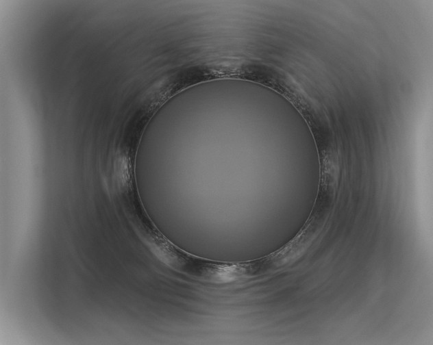 X0000113340130200909221131