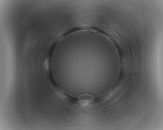 X0000113340131200909221131