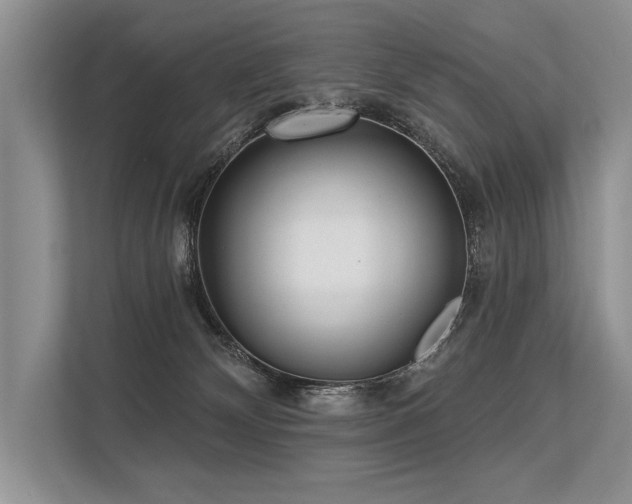 X0000113340132200909221131