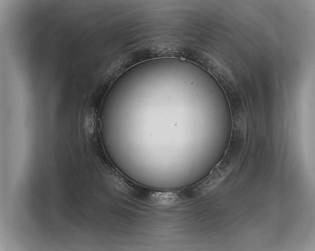 X0000113340133200909221131