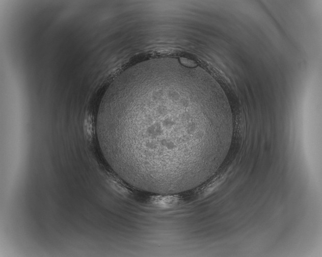 X0000113340135200909221131