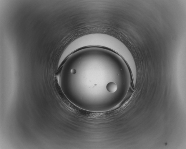 X0000113340136200909221131