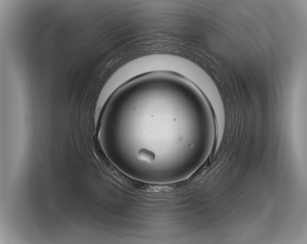 X0000113340137200909221131