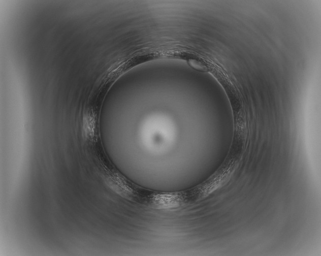 X0000113340139200909221131