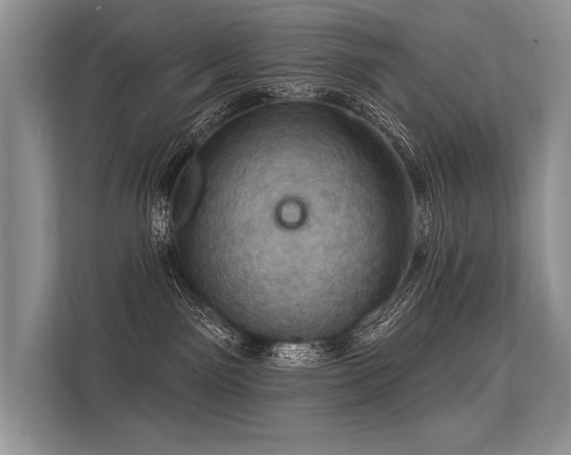 X0000113340141200909221131